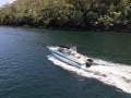 Haines Signature 600RF