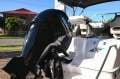 Revival 580 Sportz - Immaculate condition