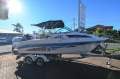 Revival 580 Sportz - Immaculate condition