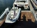Gold Coast Ships Expedition Cat 53