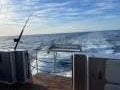 Gold Coast Ships Expedition Cat 53