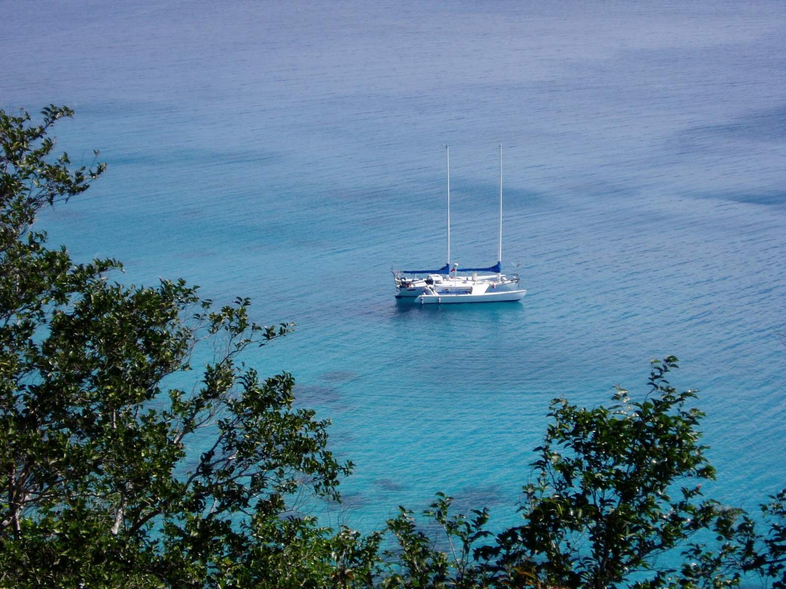 Marples 44 Fast Cruiser Constant Camber Cat-Rigged Schooner Tri:Fiji