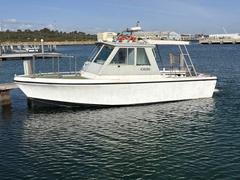 Penguin 26 in 2C survey. D4 engine. Ready to work or play