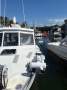Seatamer Port Douglas Fishing Charter Boat in Survey:New Minn Kota, Remote Deploy