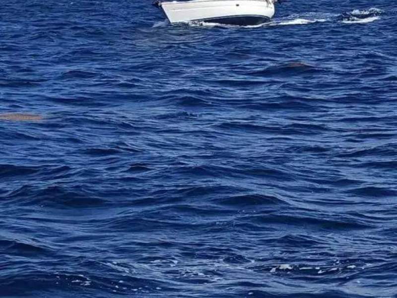 Bavaria 42