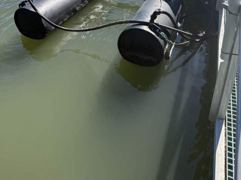 Custom Float 25 feet pontoon