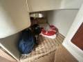 Mustang 3200 Sportscruiser LC