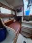 Cole Contessa 25