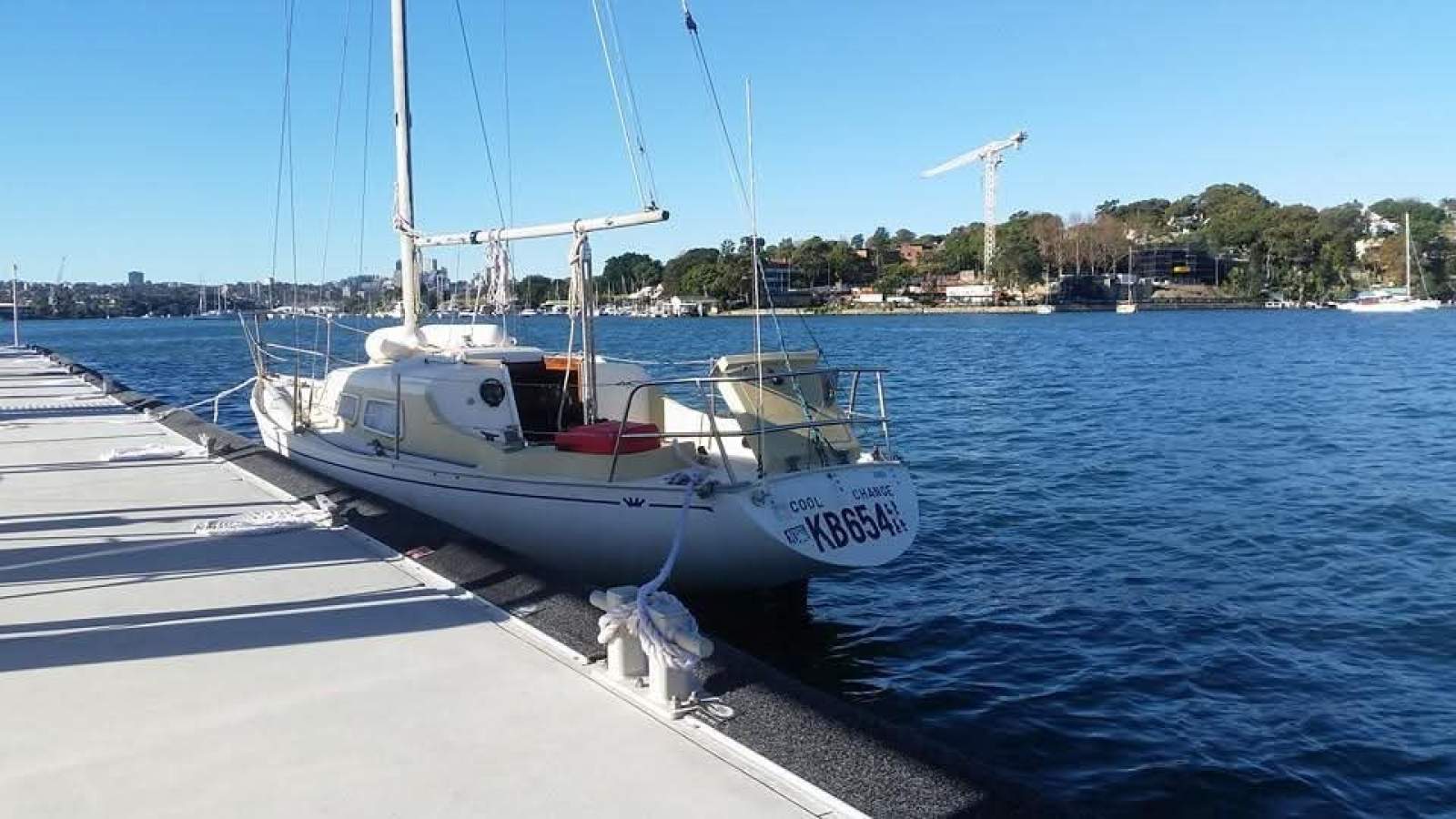 Cole Contessa 25