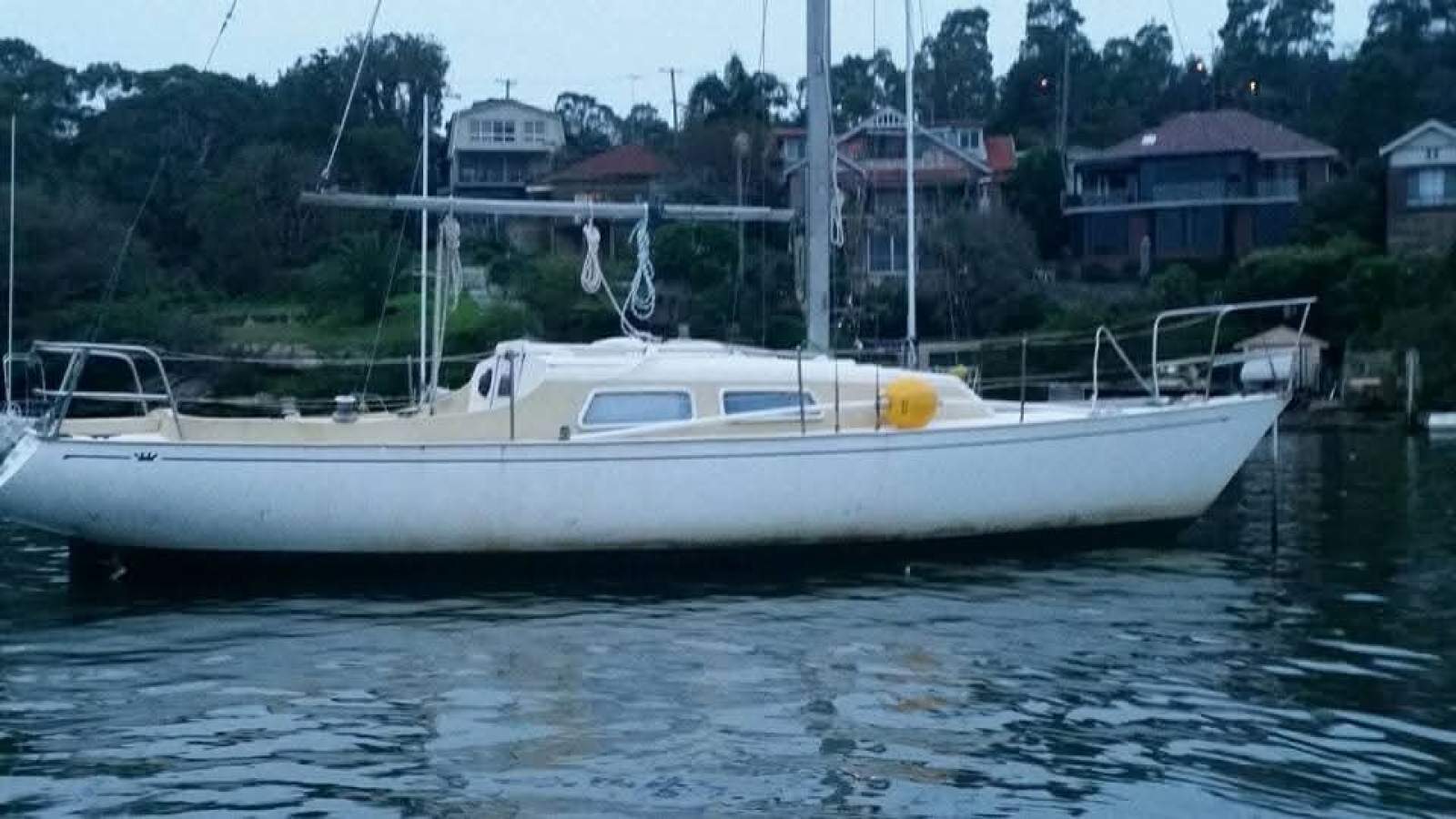 Cole Contessa 25