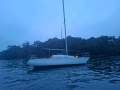 Cole Contessa 25