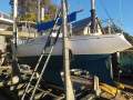 Cole Contessa 25
