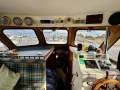 Cuddles 30 Flybridge Cruiser