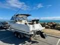 Caribbean 2400