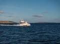 Riviera 43 Flybridge