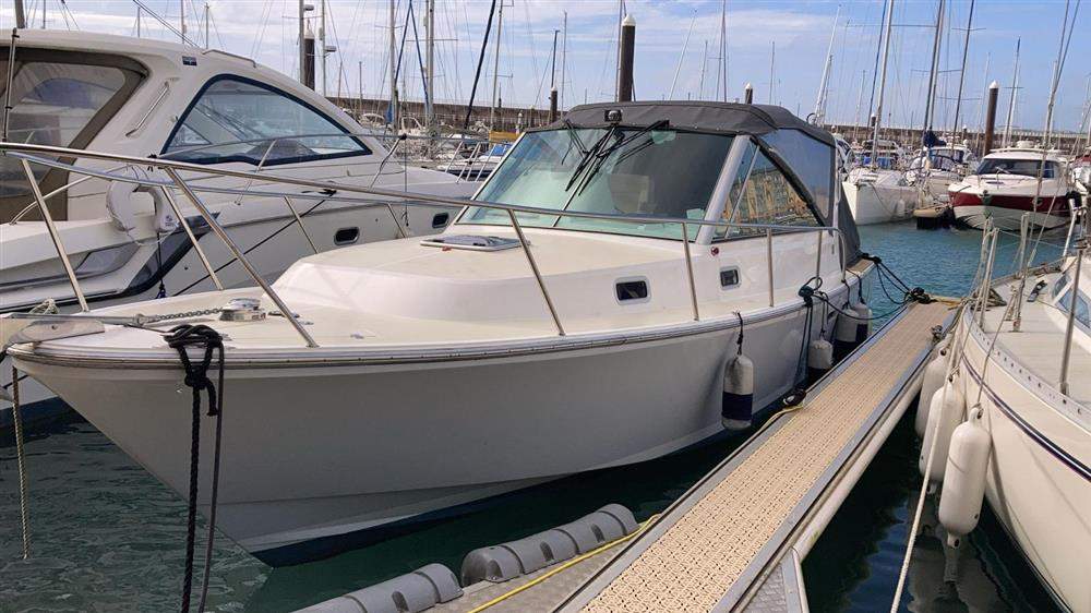 Hunt Harrier 36