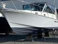 Hunt Harrier 36