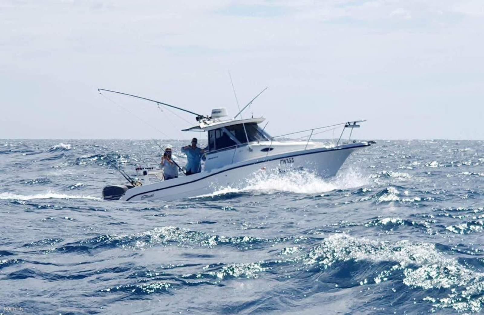 Seaswirl Striper 2601 WA