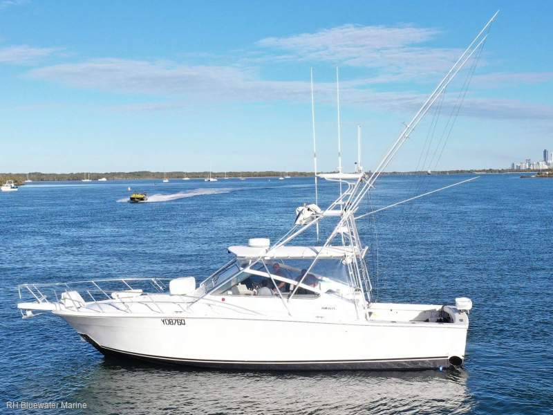 Blackfin 38 Sports Fisher