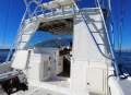Blackfin 38 Sports Fisher