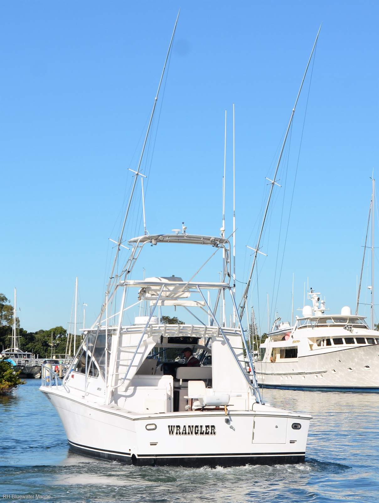 Blackfin 38 Sports Fisher