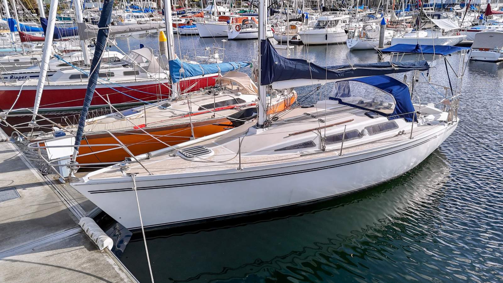 Northshore 33 COMFORTABLE & CAPABLE CRUISER/RACER