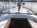 Roberts 36 Fiberglass World Sailing Updates (SydneyHarbour)