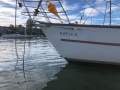 Roberts 36 Fiberglass World Sailing Updates (SydneyHarbour)