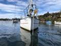 Roberts 36 Fiberglass World Sailing Updates (SydneyHarbour)