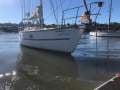 Roberts 36 Fiberglass World Sailing Updates (SydneyHarbour)