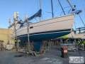 Hunter 36