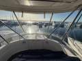 Riviera 37 Open Flybridge - "Good Omen V"