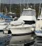 Riviera 37 Open Flybridge - "Good Omen V"