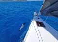 Dehler 46 Competition:Dehler 46 Competition for sale with Race Yachts