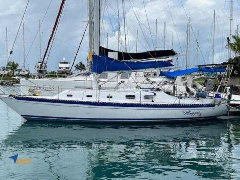 Islander 36