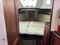 Islander 36