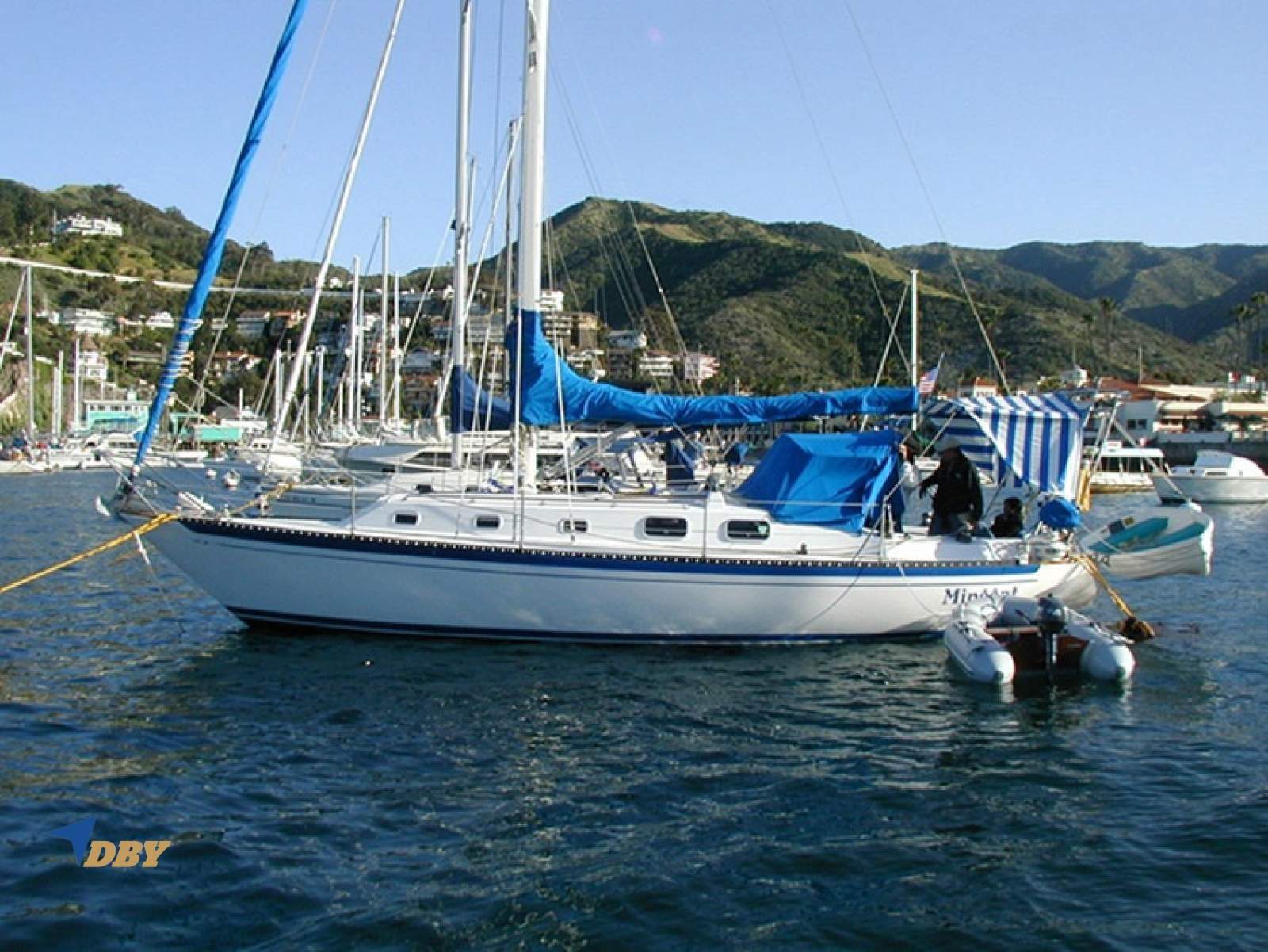 Islander 36
