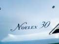 Noelex 30