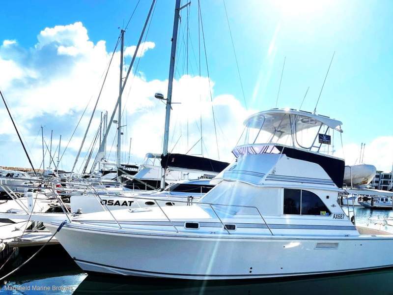 Caribbean 35 Flybridge Cruiser Mk II immaculate