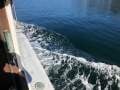 Classic 32ft Game Family Cruiser Diesels Sydney