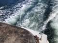 Classic 32ft Game Family Cruiser Diesels Sydney