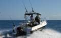 New Haines Hunter 565 R