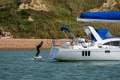 Southerly 480
