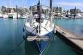 Morgan West Indies 38