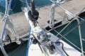 Morgan West Indies 38