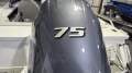 New Stacer 499 Wild Rider