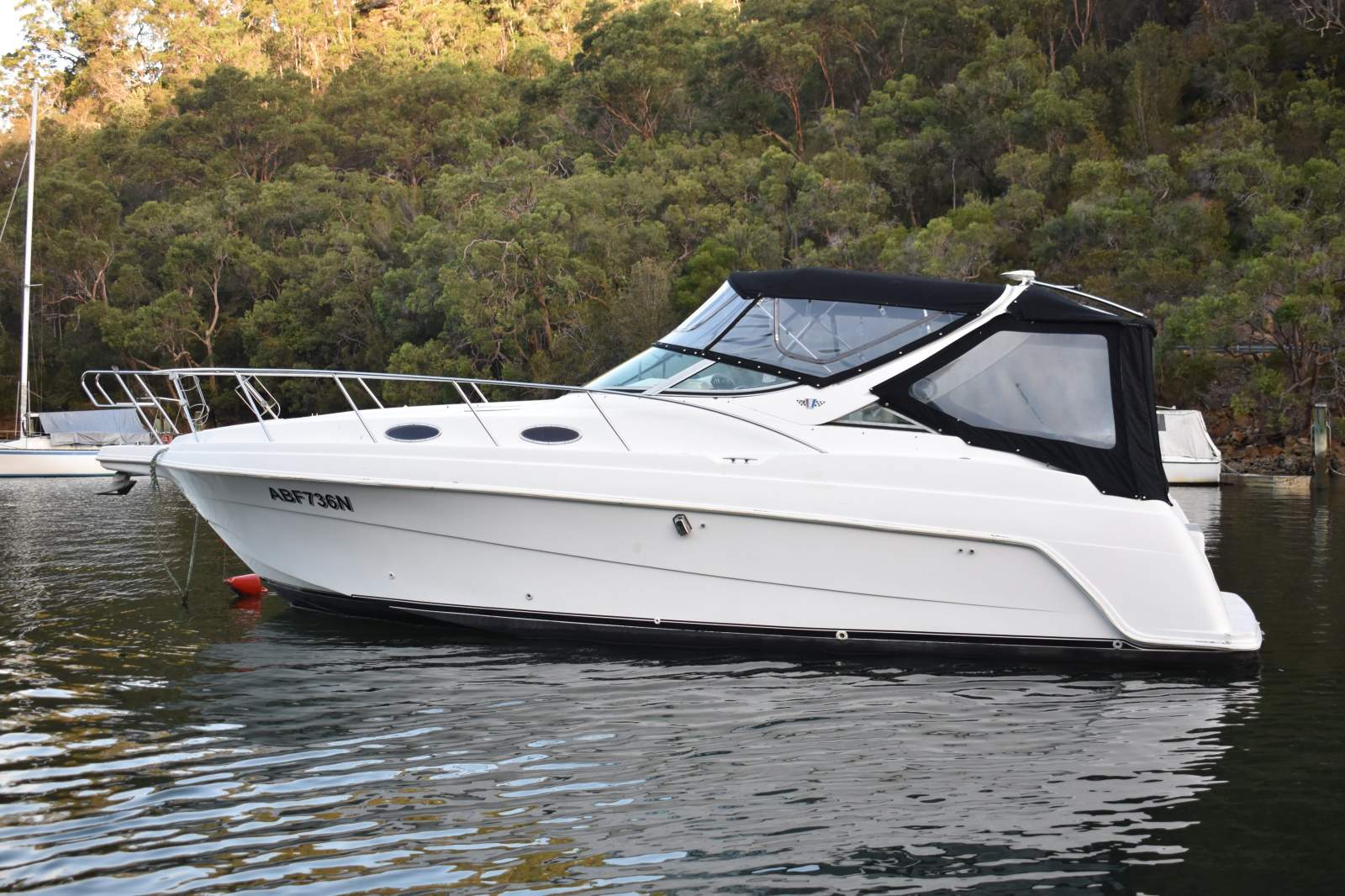 Wellcraft 3000 Martinique