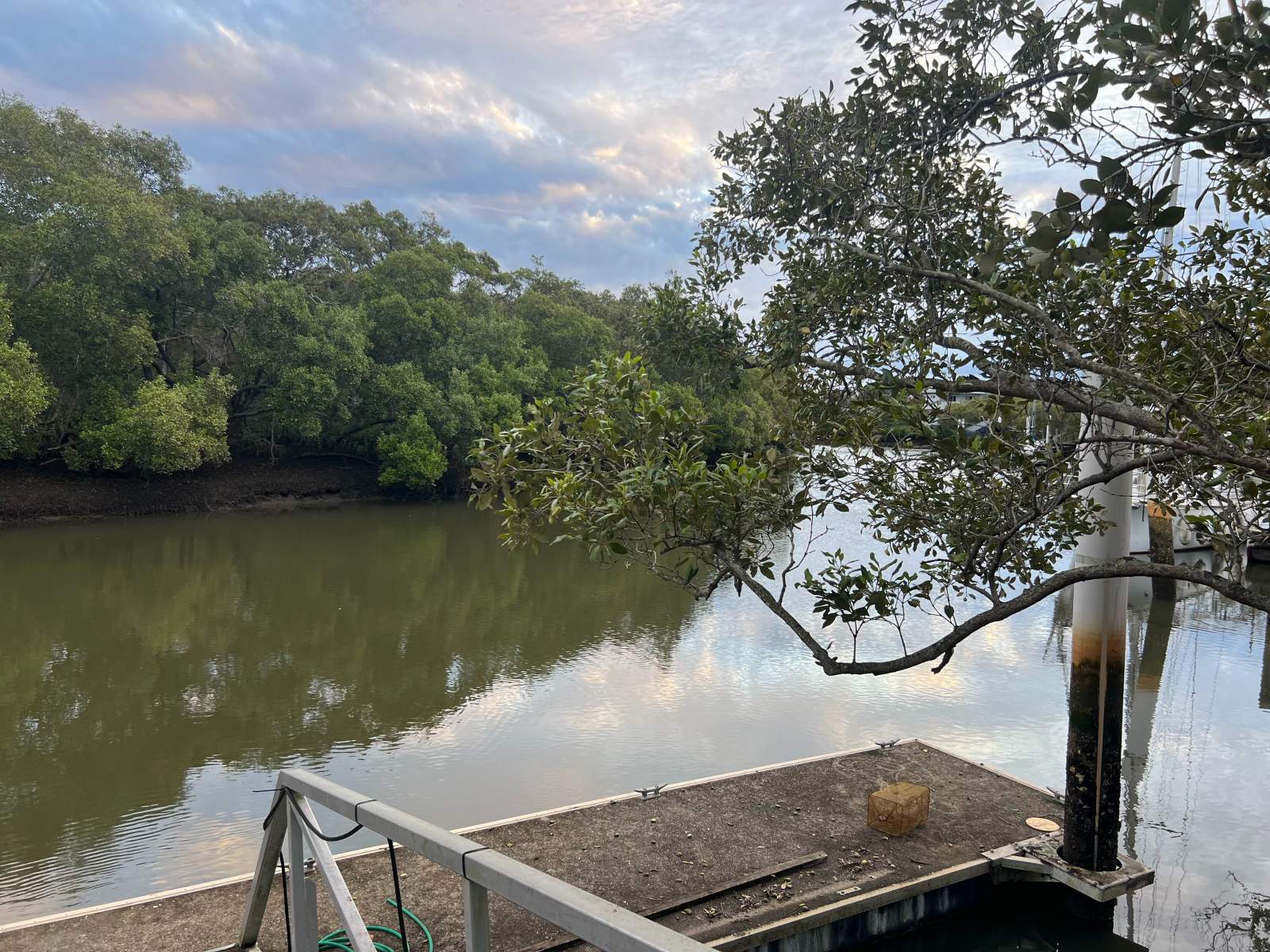 15mt pontoon for rental, close to the city.