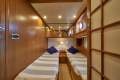 Mochi Craft Dolphin 54