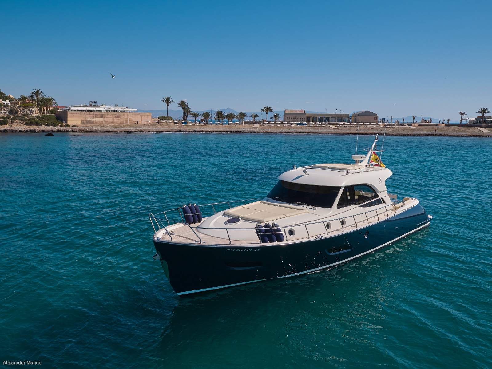 Mochi Craft Dolphin 54